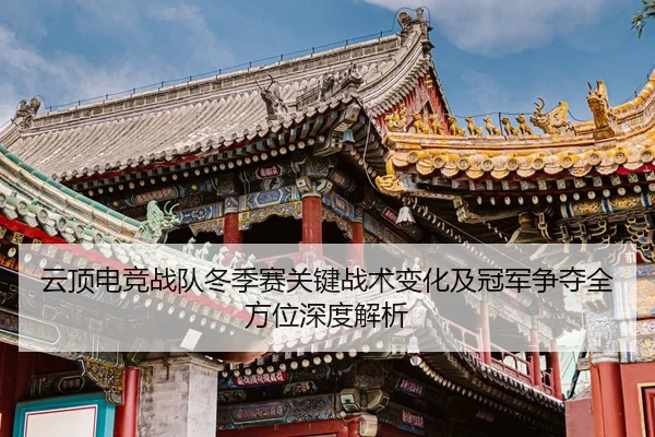 云顶电竞战队冬季赛关键战术变化及冠军争夺全方位深度解析